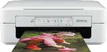 Epson Expression Home XP-247 driver