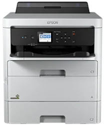 Driver for Epson WorkForce Pro WF-C529R